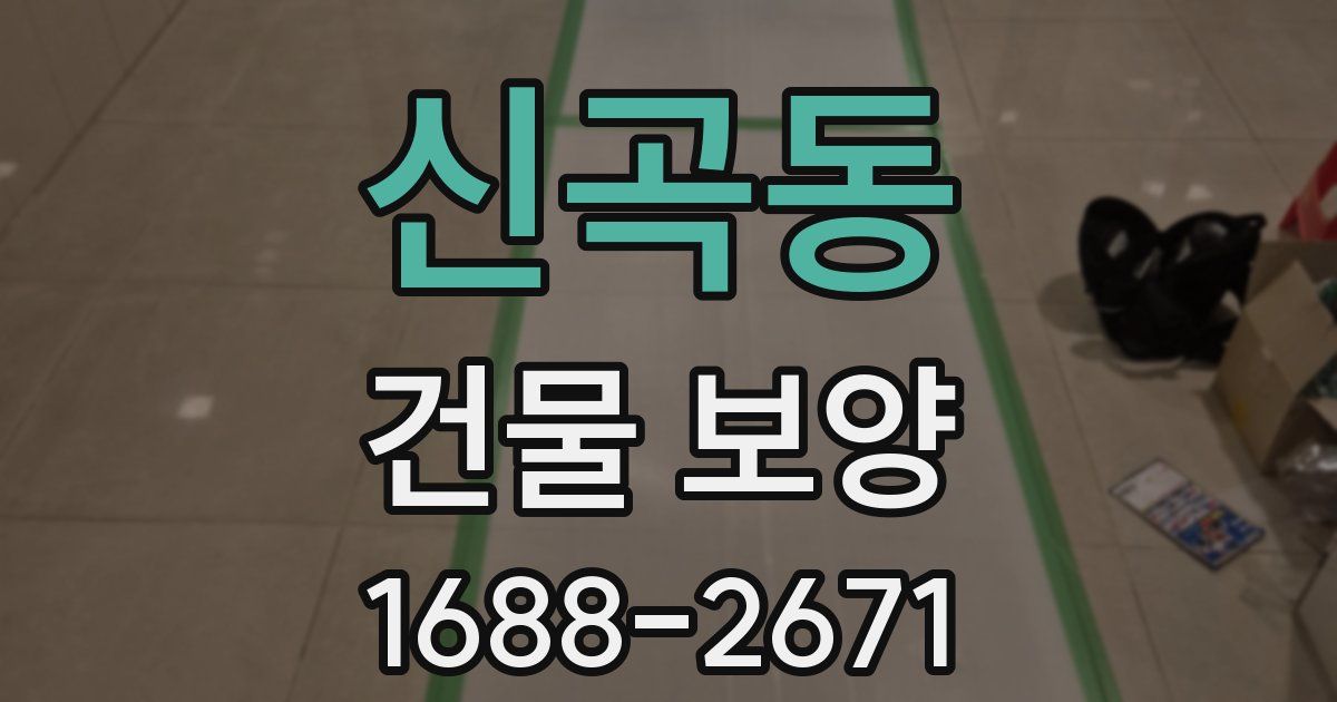 신곡동 건물 보양