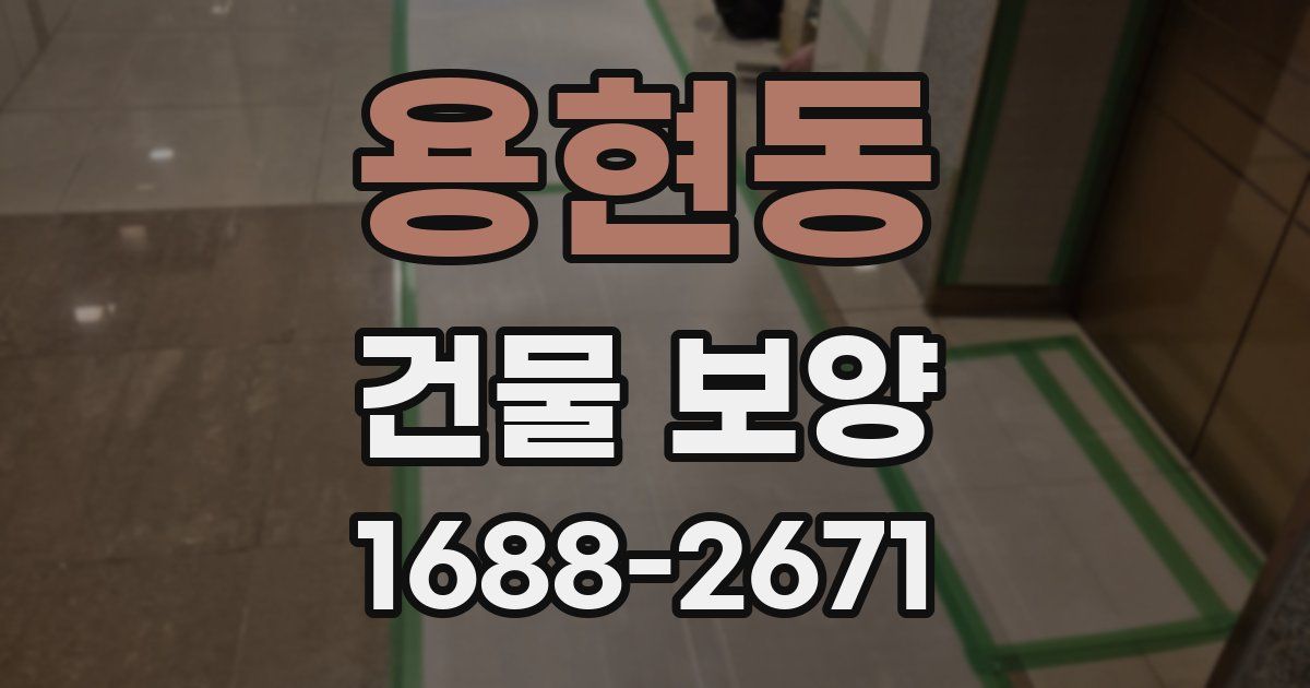 용현동 건물 보양