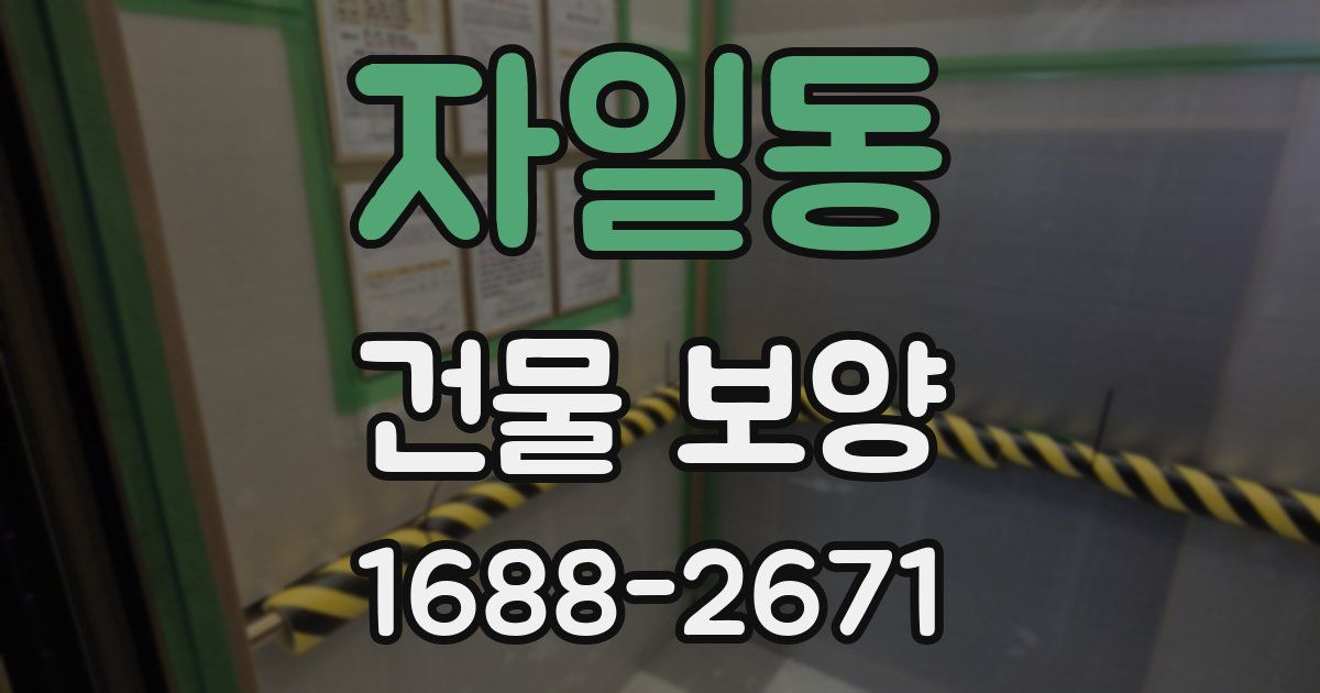 자일동 건물 보양