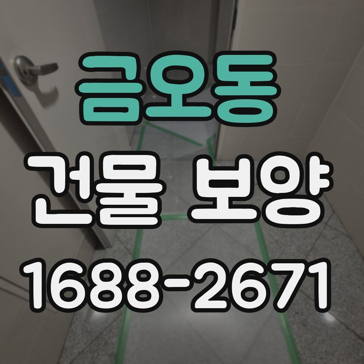 금오동 건물 보양 공정별 진행 방식 이해하기
