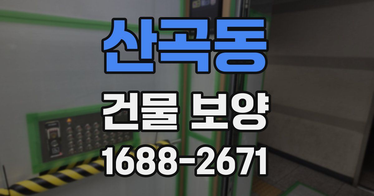 산곡동 건물 보양