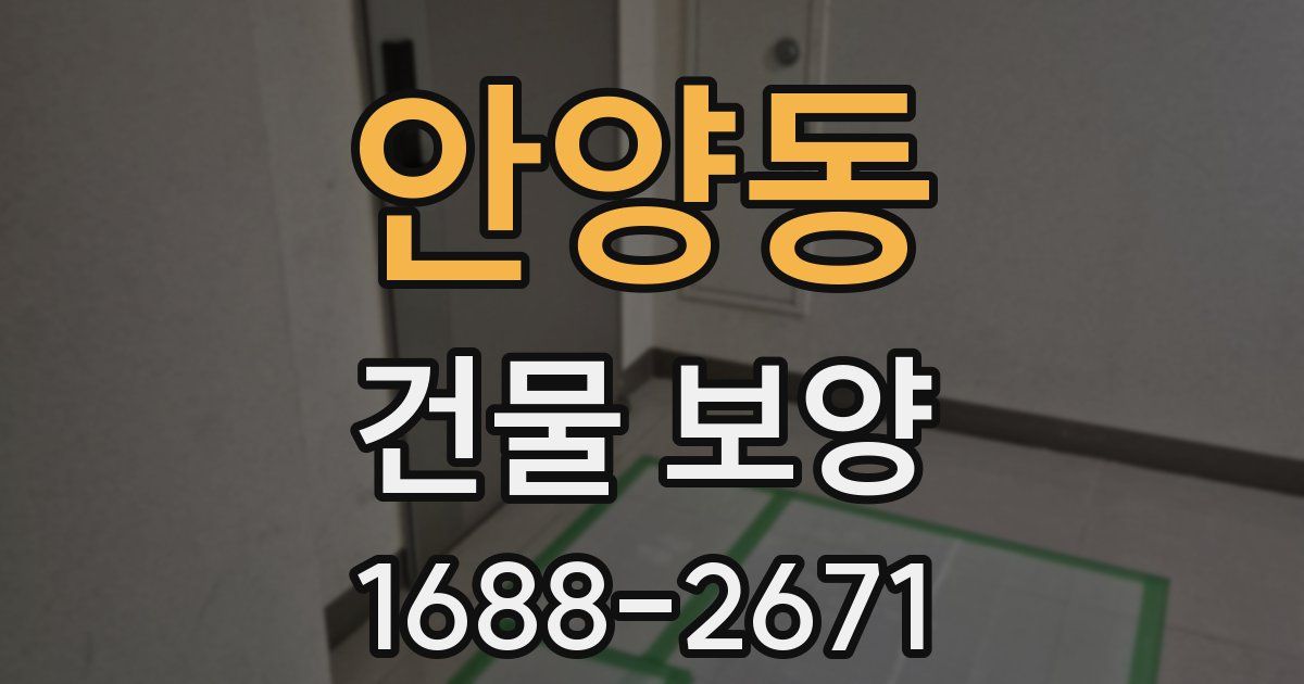 안양동 건물 보양