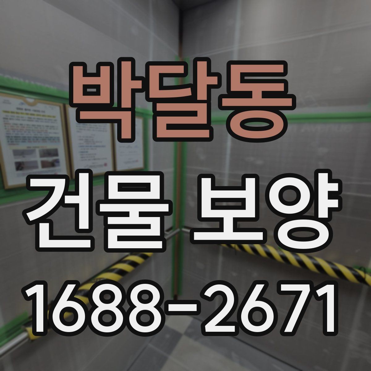 박달동 건물 보양 후 정리까지 포함한 진행 방식