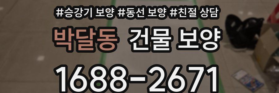 박달동 건물 보양