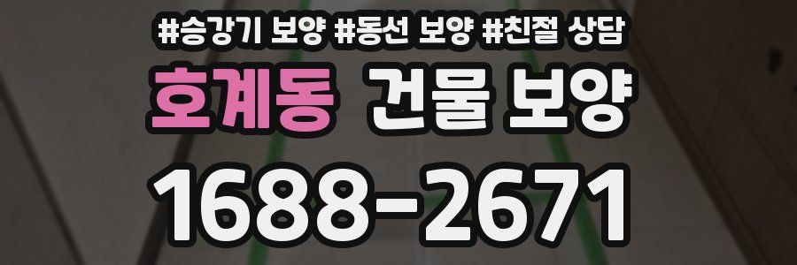 호계동 건물 보양