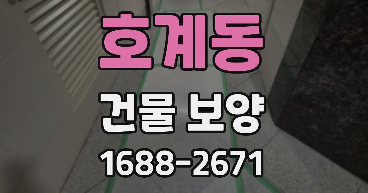 호계동 건물 보양