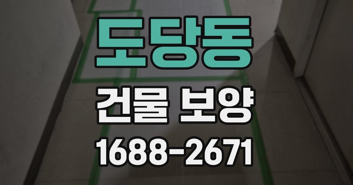 도당동 건물 보양