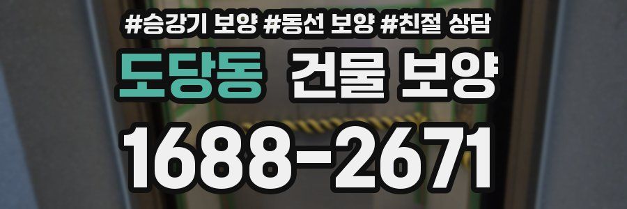 도당동 건물 보양