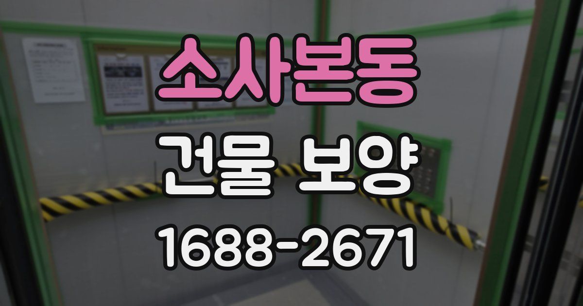 소사본동 건물 보양