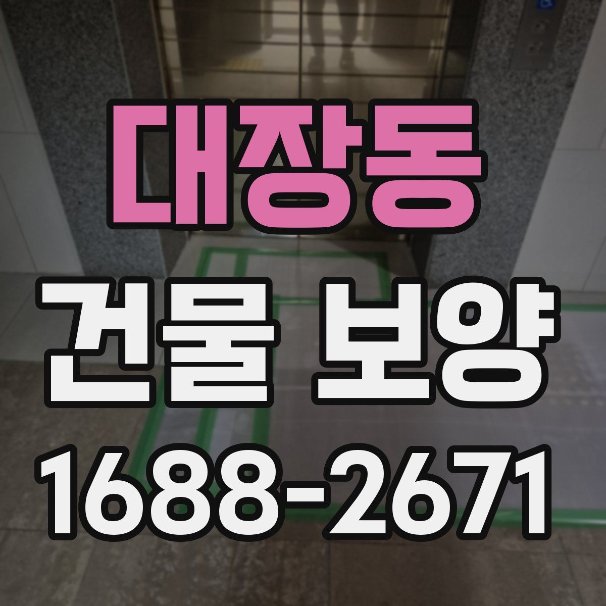 대장동 건물 보양