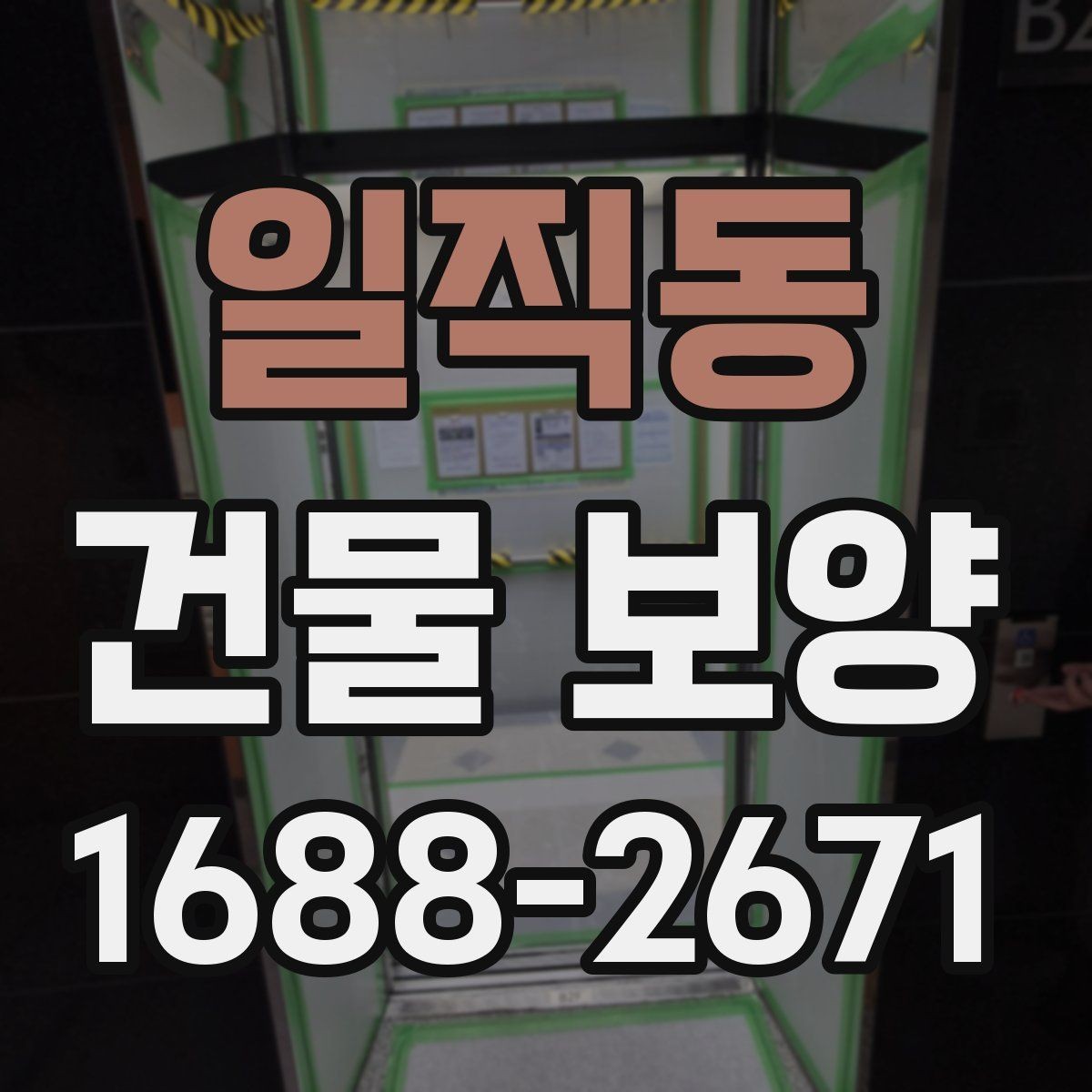 일직동 건물 보양 현장별 적용 방식 안내