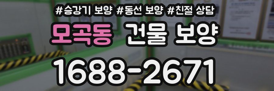 모곡동 건물 보양