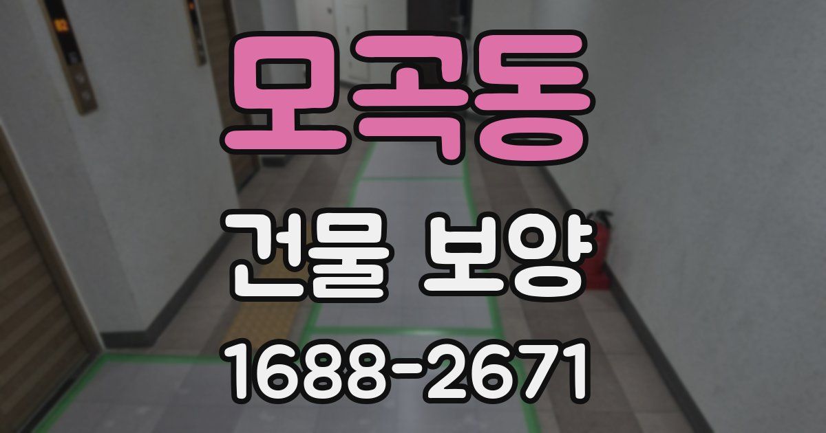 모곡동 건물 보양