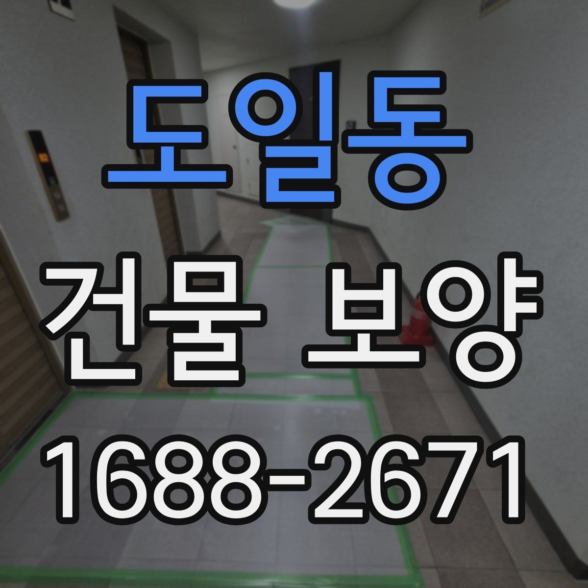 도일동 건물 보양 전후로 비교해야 할 사항