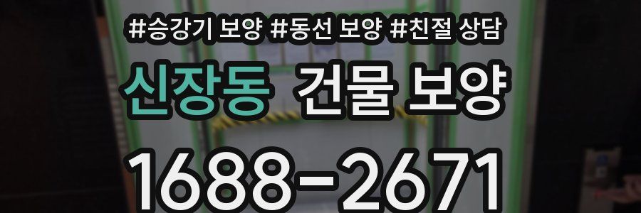 신장동 건물 보양