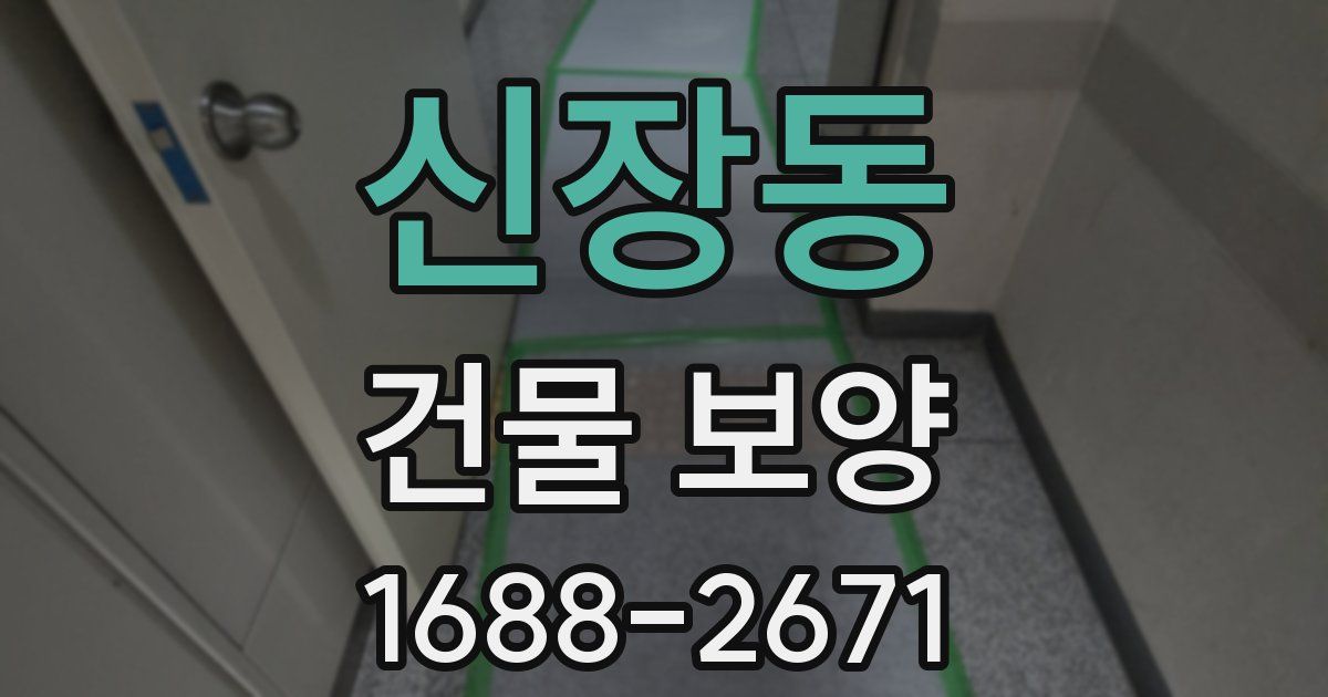 신장동 건물 보양