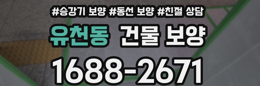 유천동 건물 보양