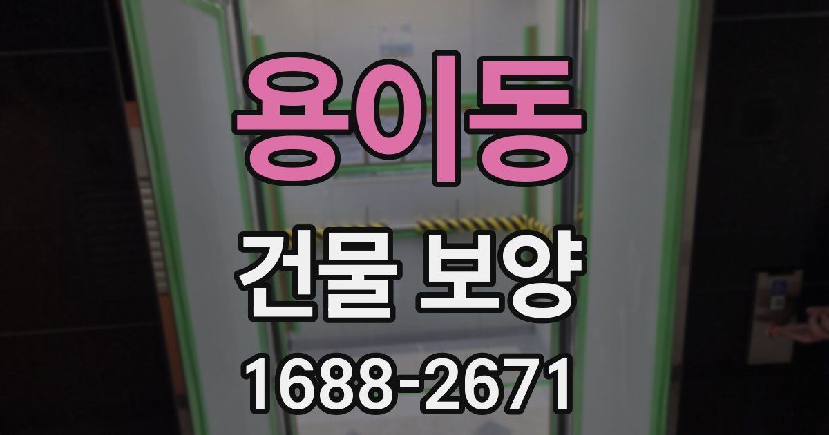 용이동 건물 보양