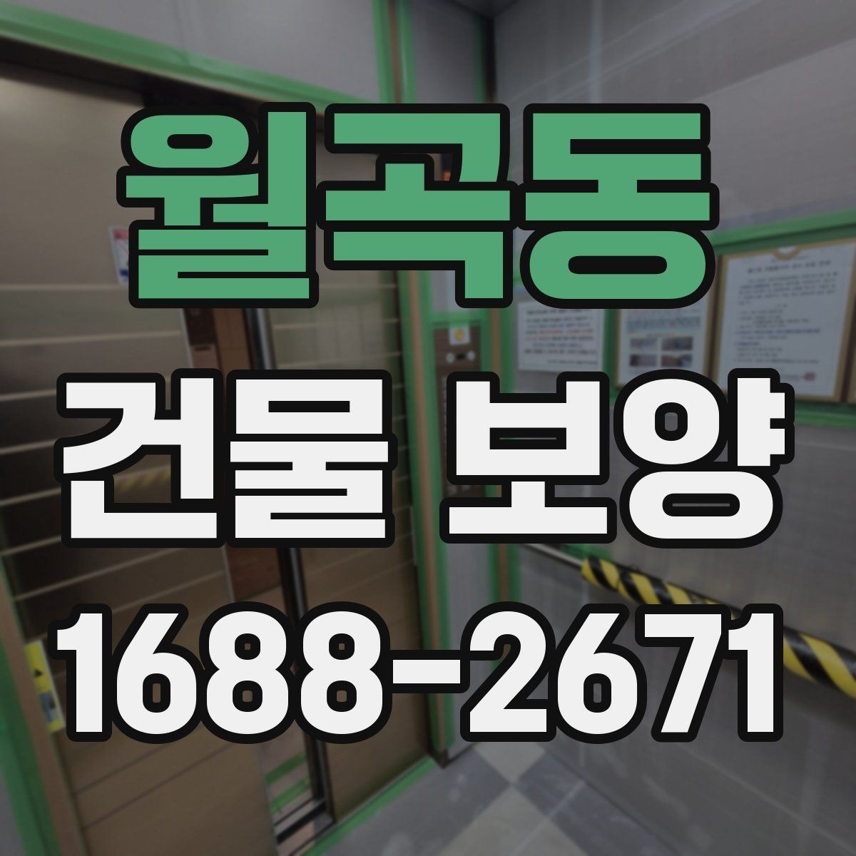 월곡동 건물 보양 자재별 장단점 한눈에 보기