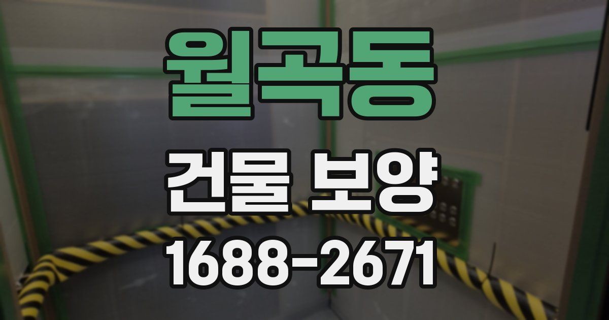 월곡동 건물 보양