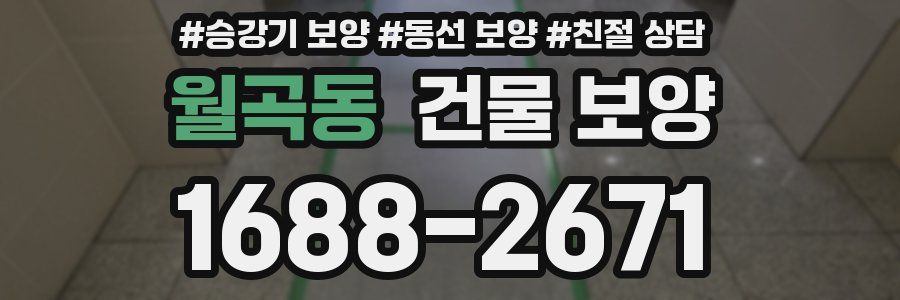 월곡동 건물 보양