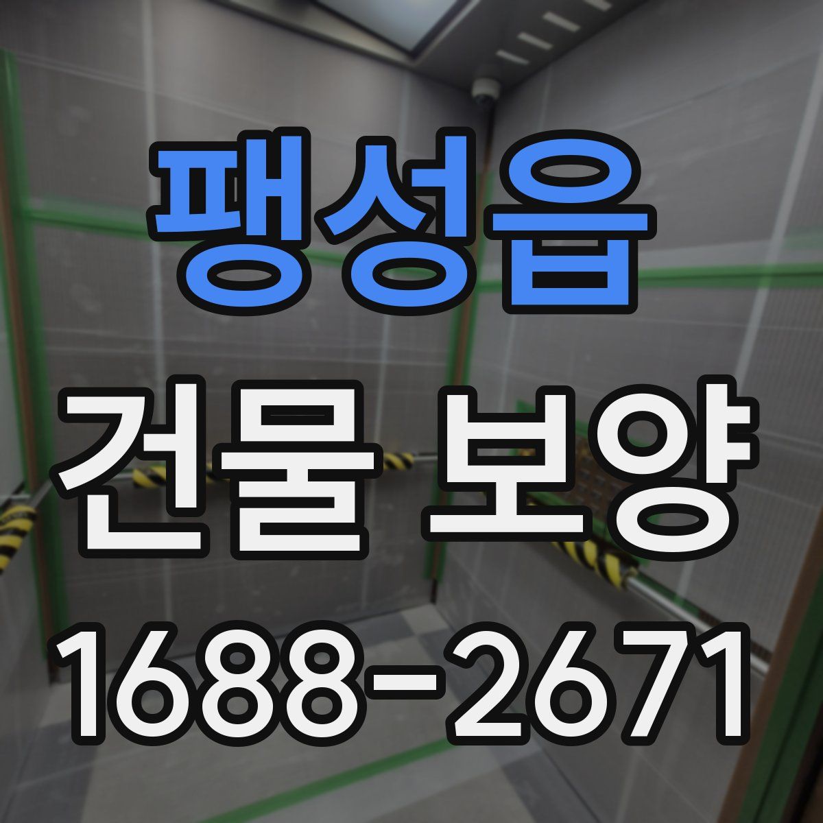 팽성읍 건물 보양