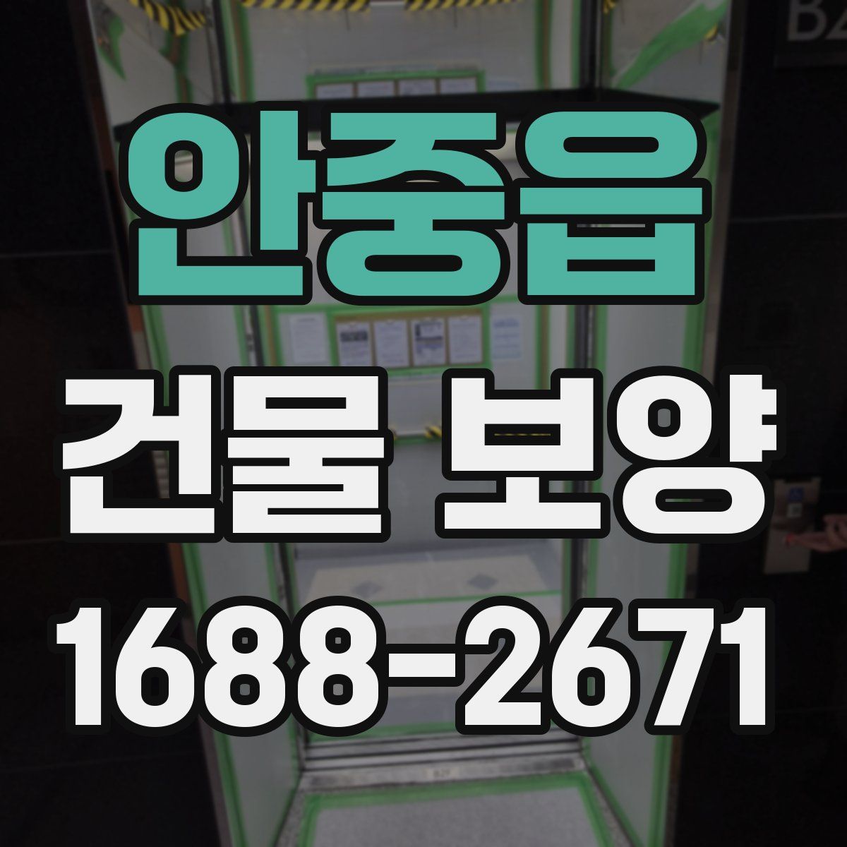 안중읍 건물 보양
