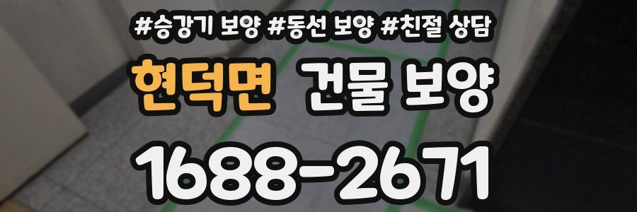 현덕면 건물 보양