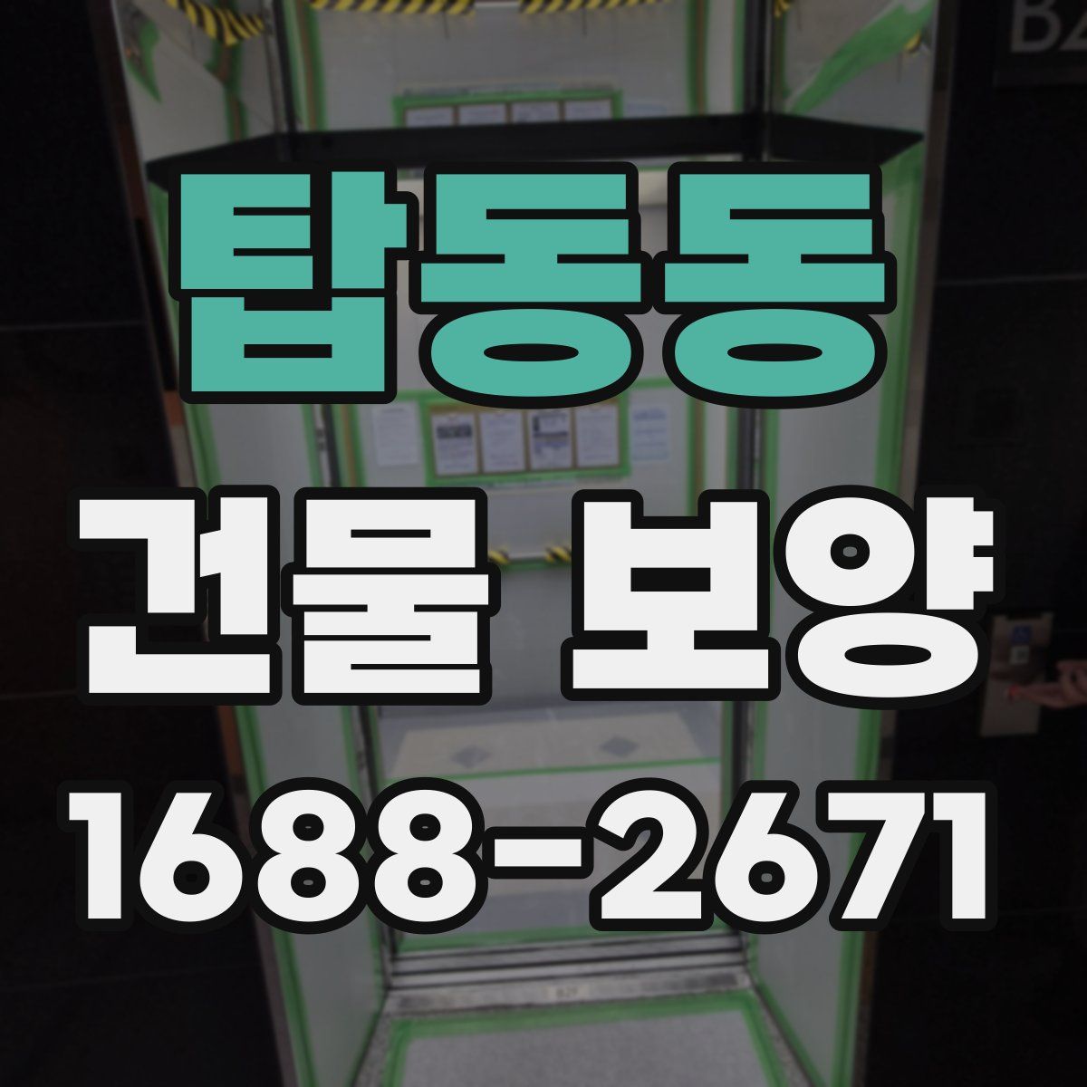 탑동동 건물 보양