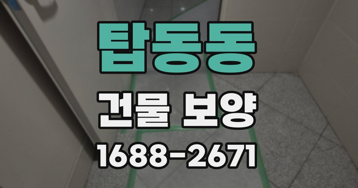 탑동동 건물 보양