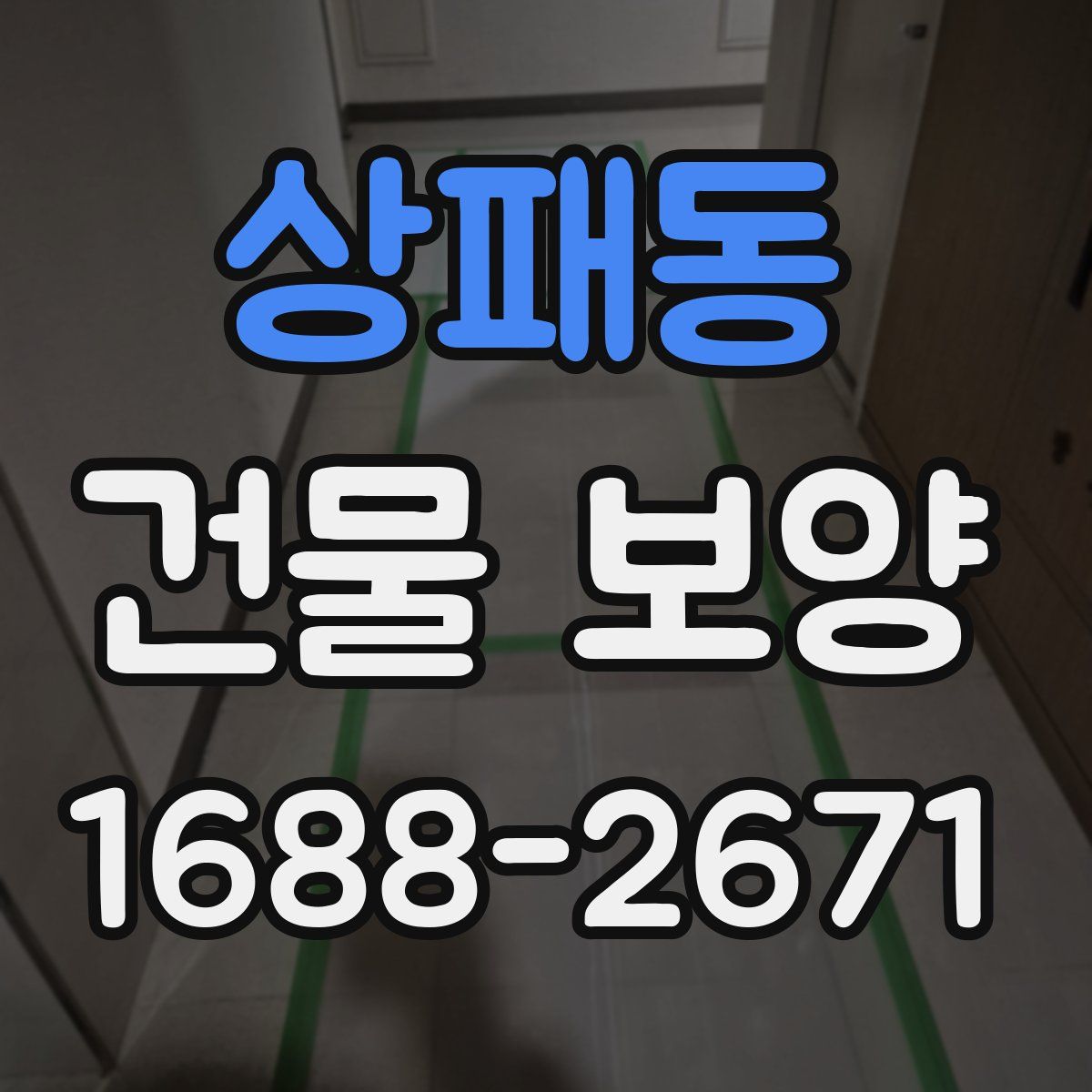 상패동 건물 보양