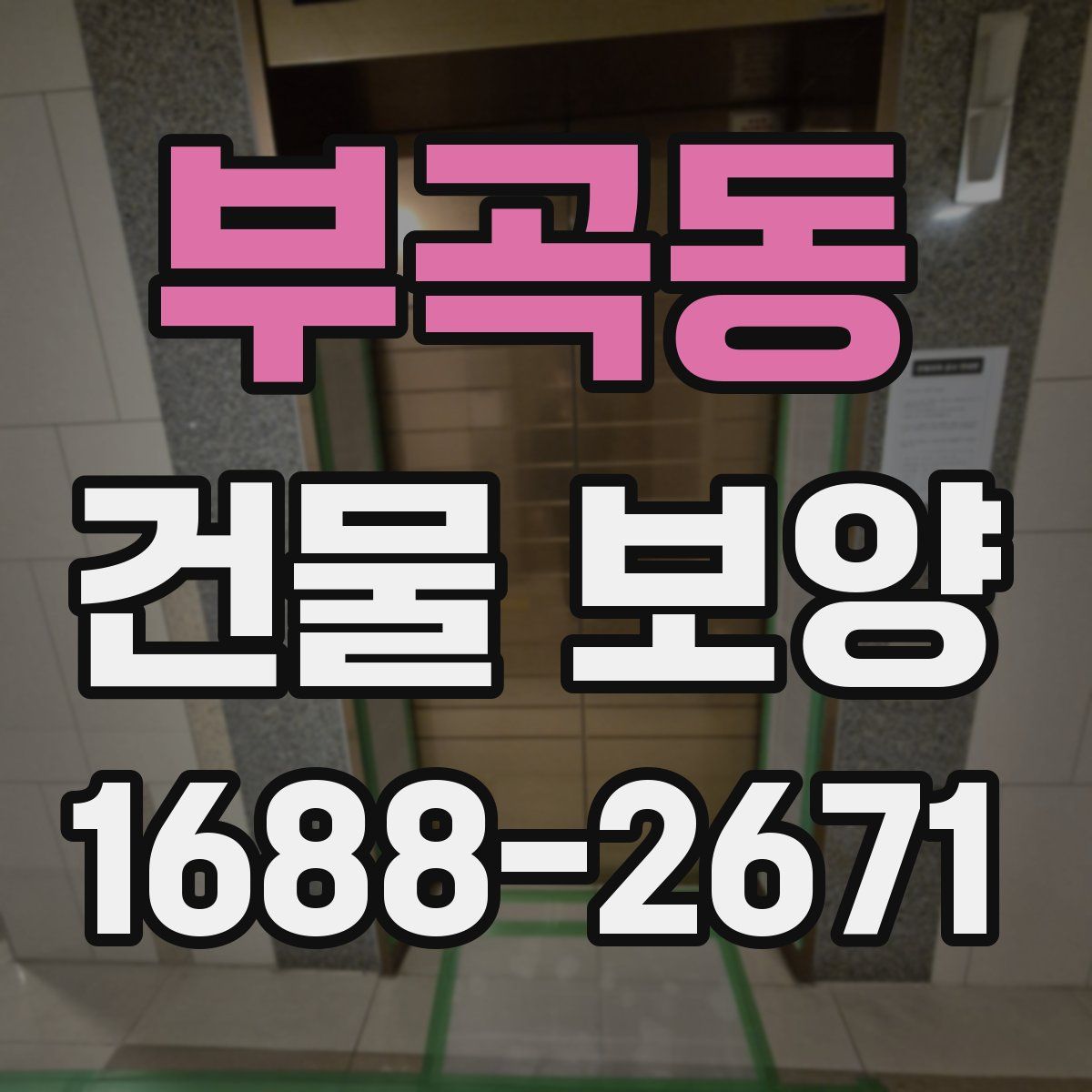 부곡동 건물 보양