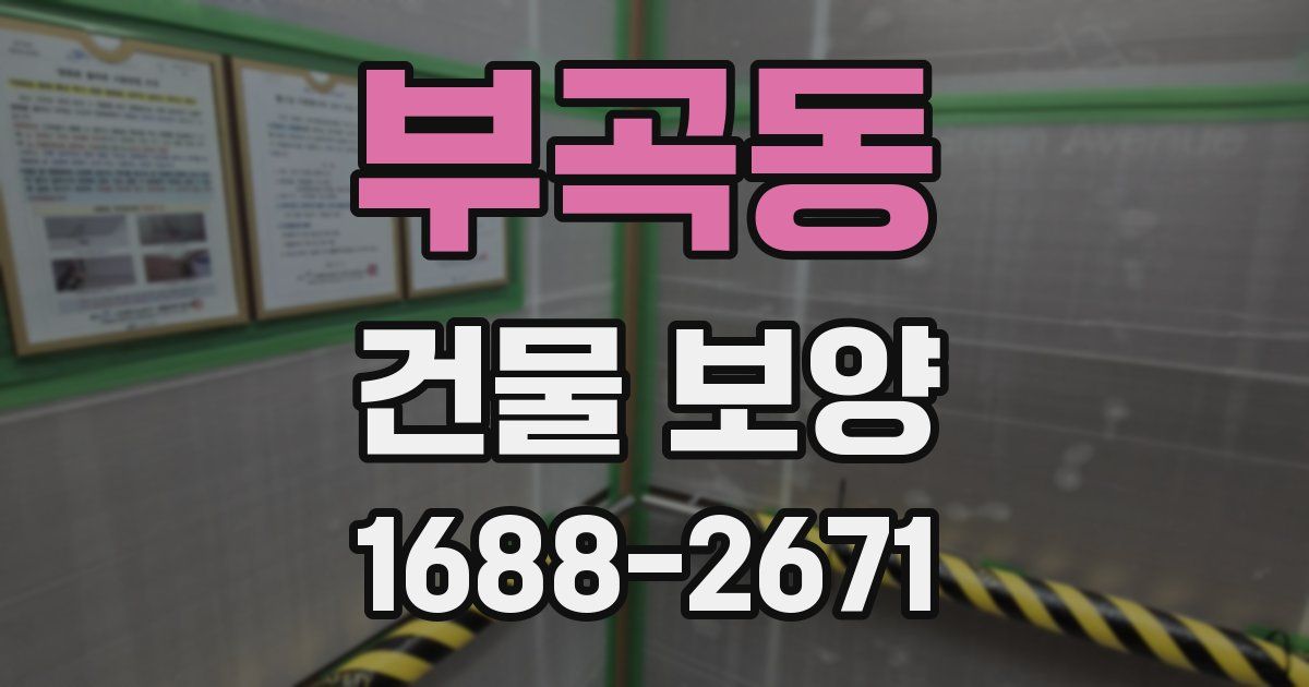 부곡동 건물 보양