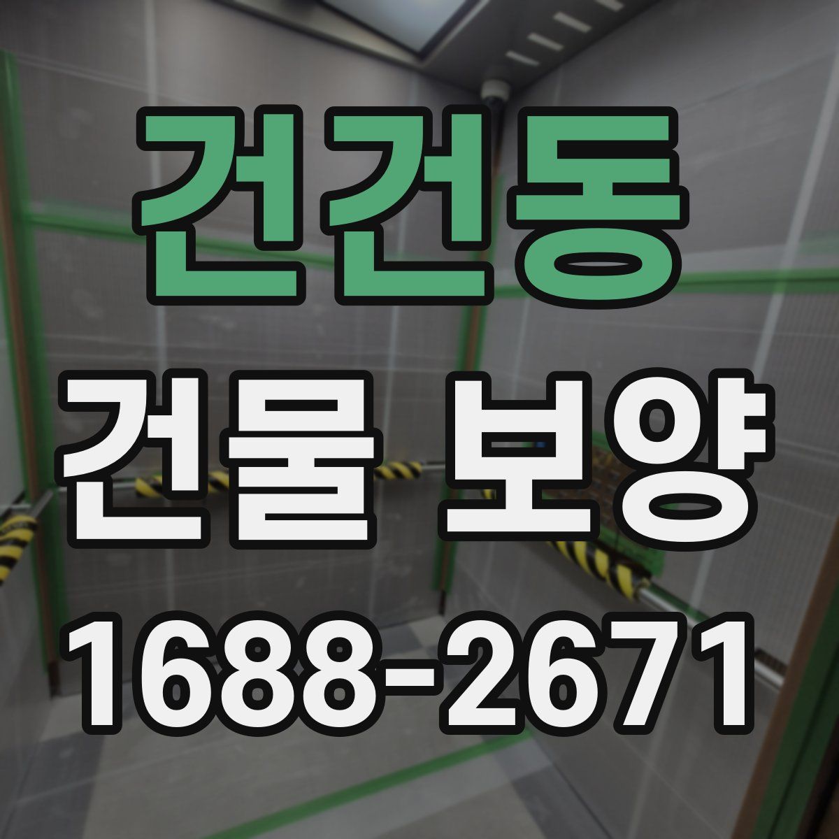 건건동 건물 보양