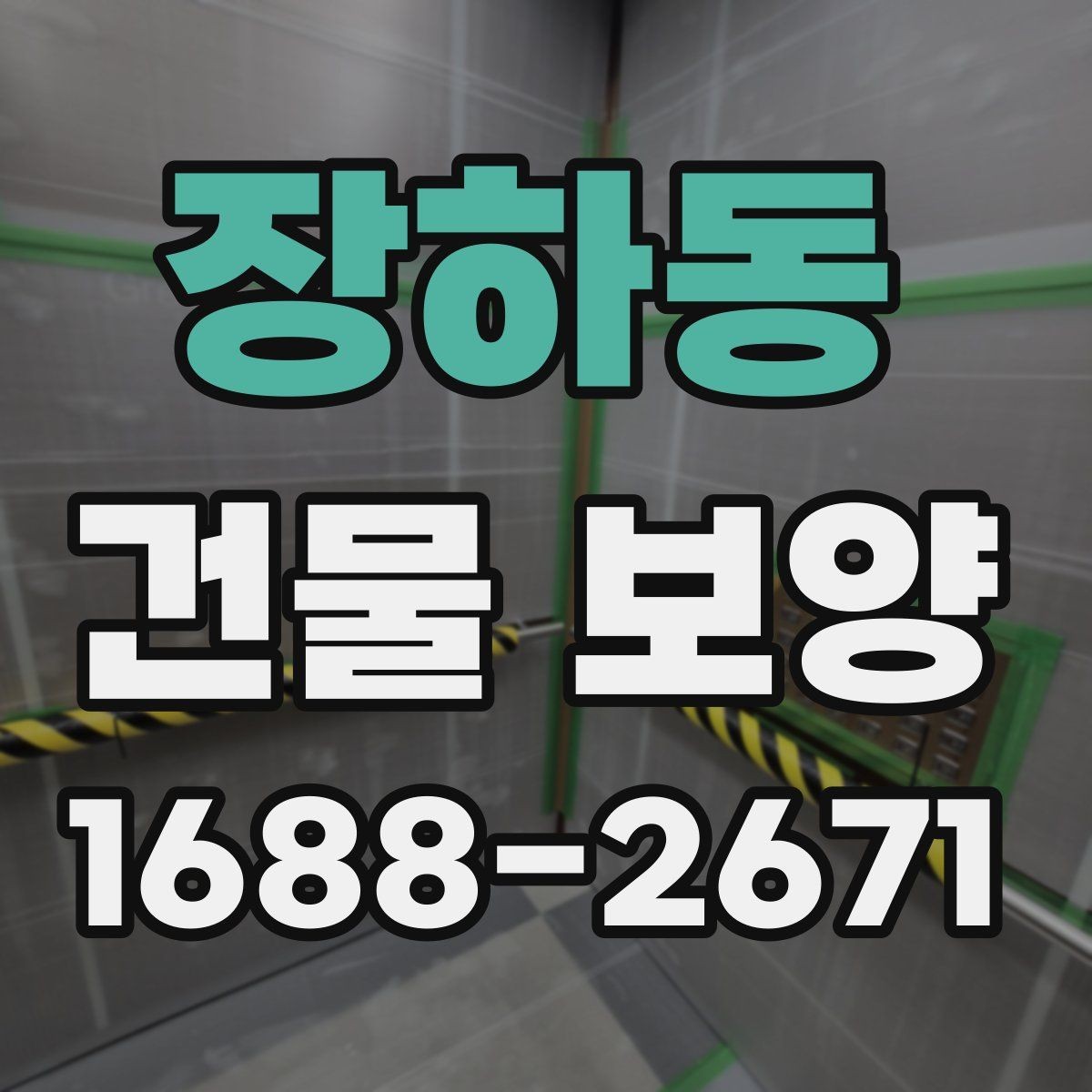장하동 건물 보양 공정에서 빠지기 쉬운 확인 사항