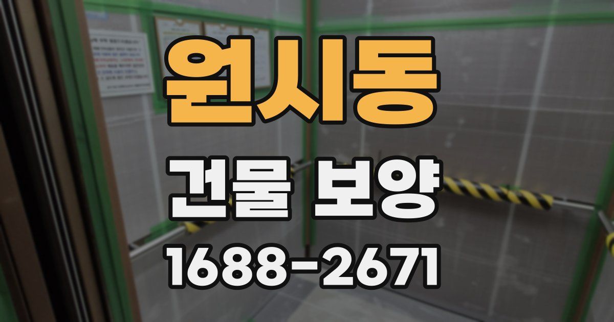 원시동 건물 보양