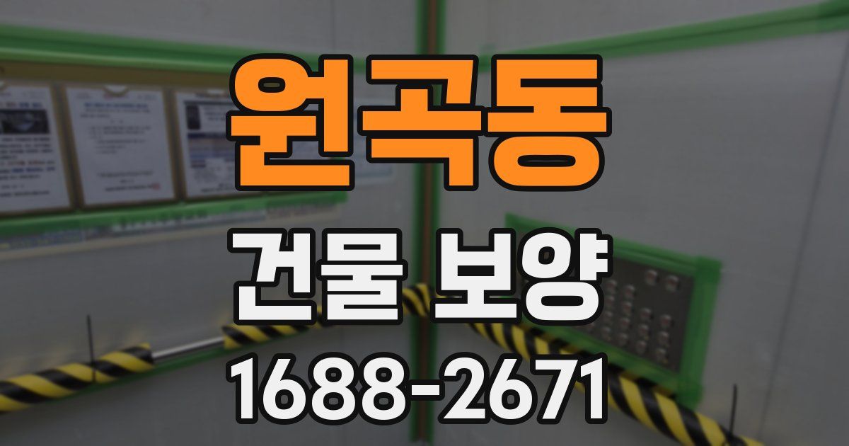 원곡동 건물 보양