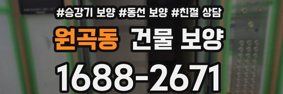 원곡동 건물 보양