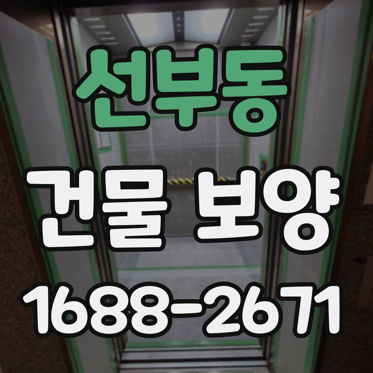 선부동 건물 보양