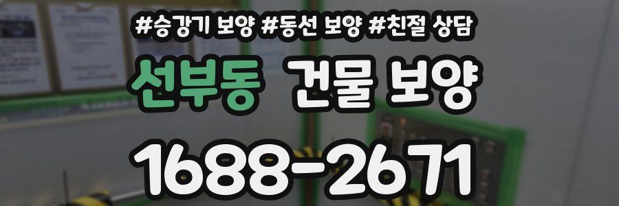 선부동 건물 보양