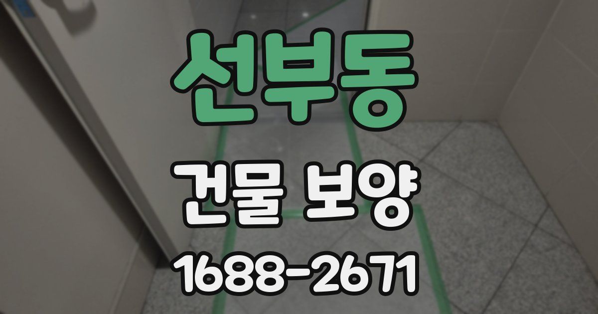 선부동 건물 보양