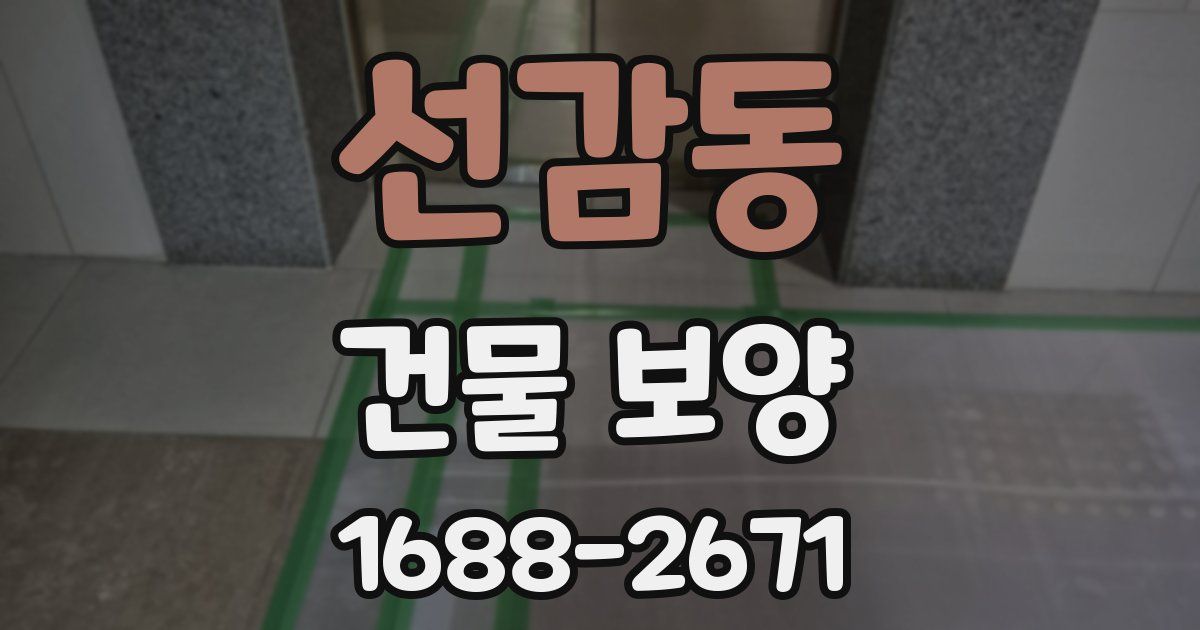 선감동 건물 보양