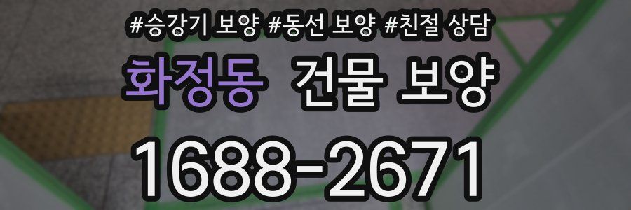 화정동 건물 보양