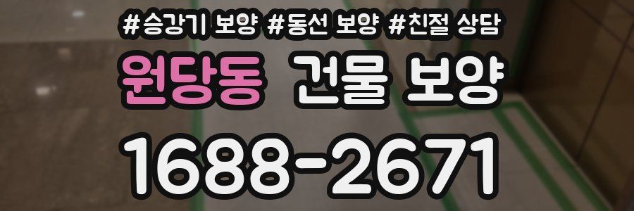 원당동 건물 보양