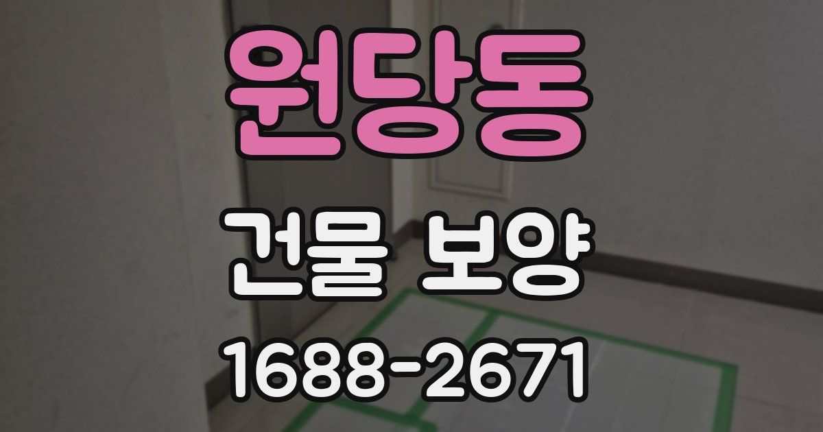 원당동 건물 보양