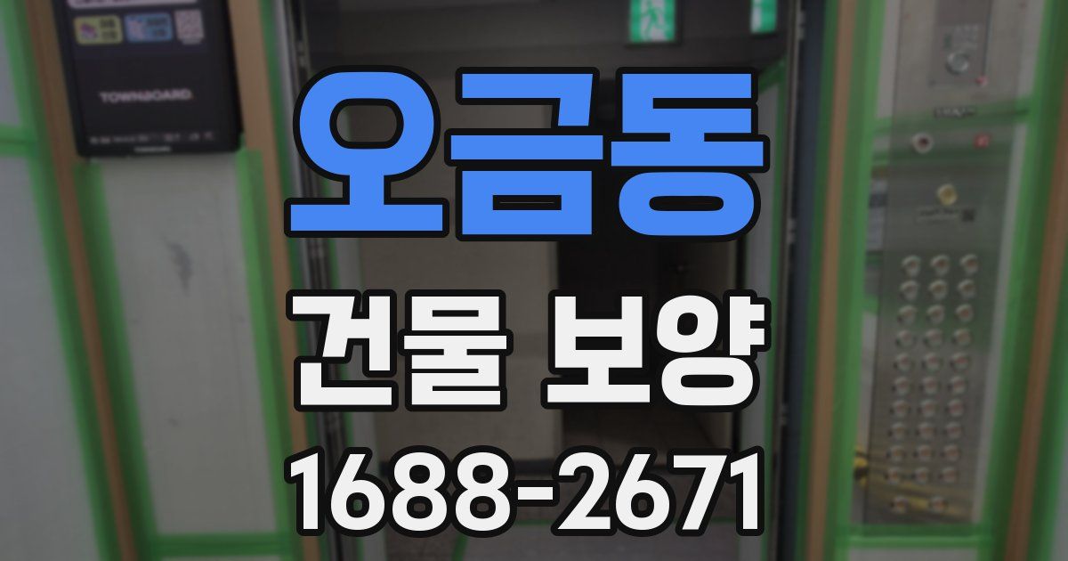오금동 건물 보양