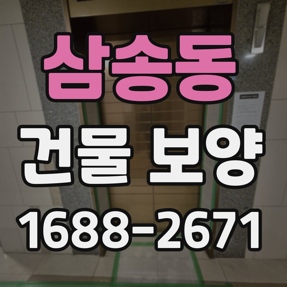 삼송동 건물 보양