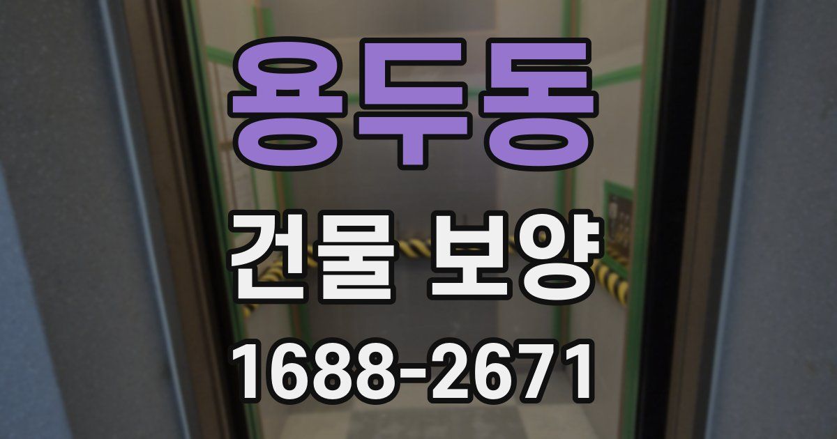 용두동 건물 보양