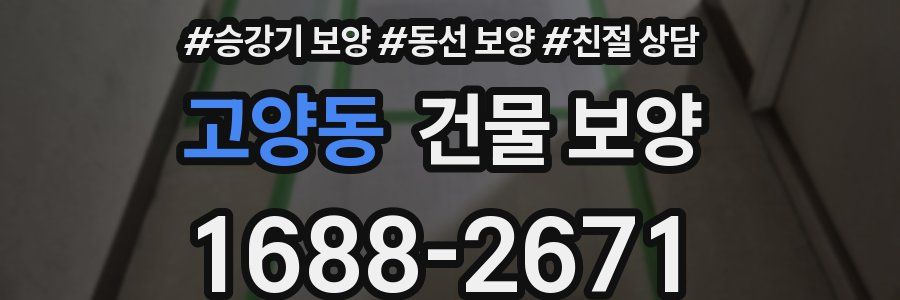 고양동 건물 보양