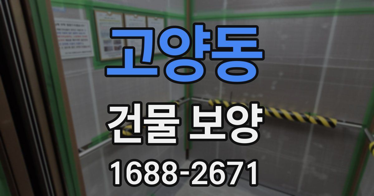 고양동 건물 보양